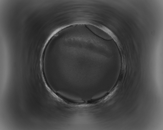 X0000087670958200705041008