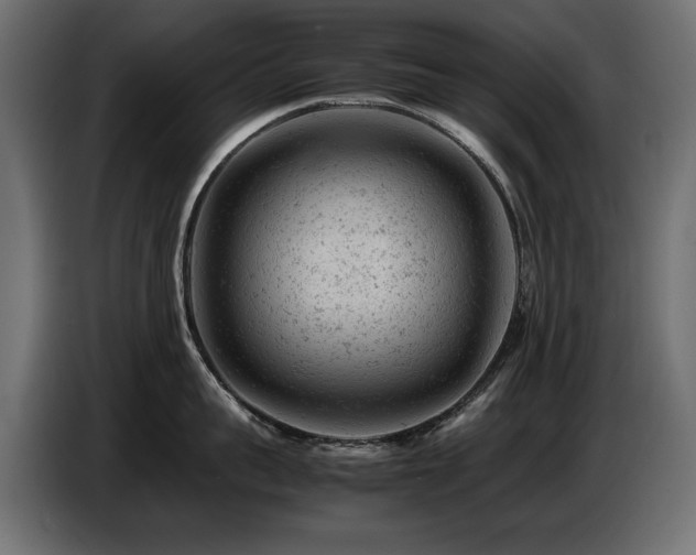 X0000087670959200705041008