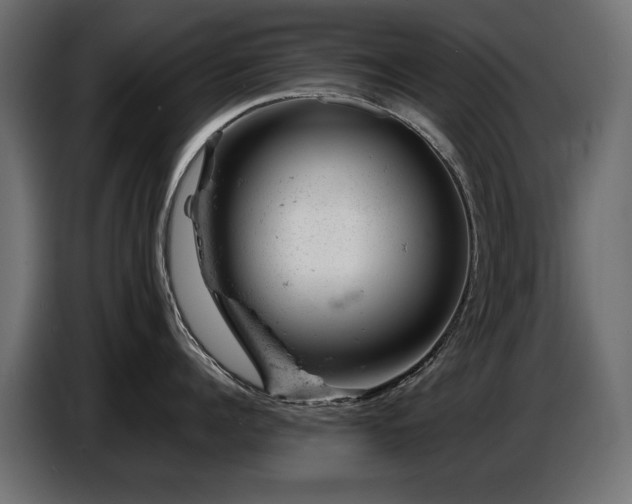 X0000087670960200705041008