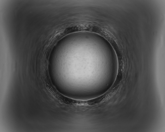 X0000087670961200705041007