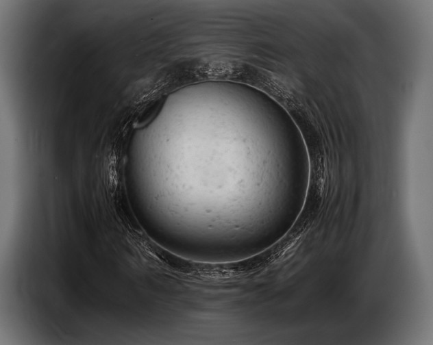 X0000087670962200705041007