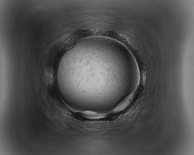 X0000087670963200705041007