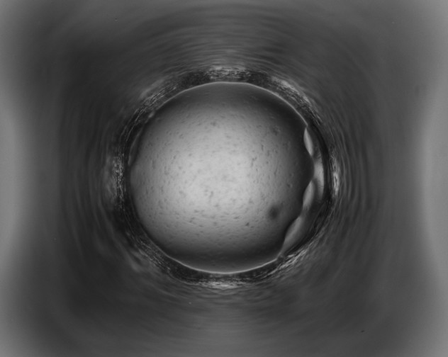 X0000087670964200705041007