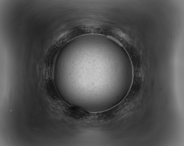 X0000087670965200705041007