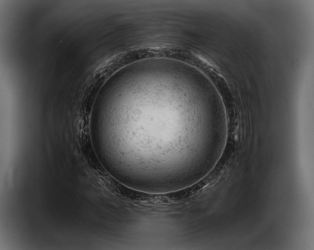 X0000087670966200705041007