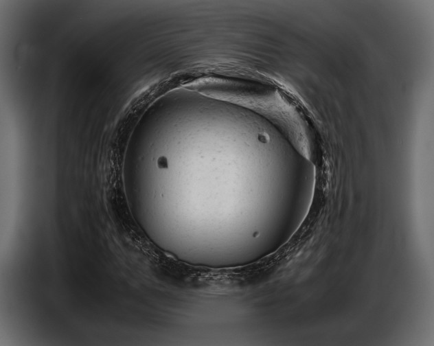 X0000087670967200705041007