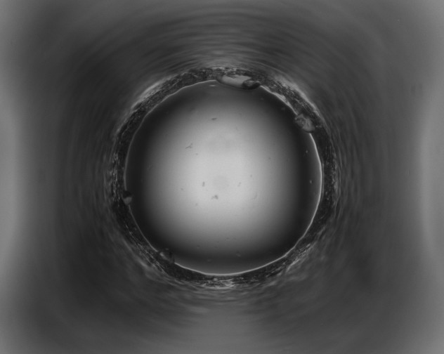 X0000087670968200705041007