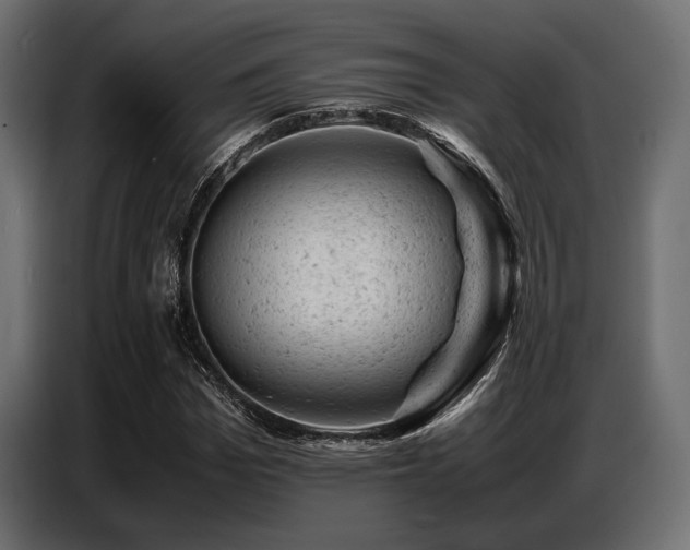 X0000087670969200705041007