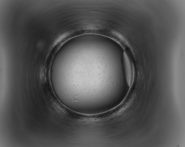 X0000087670970200705041007