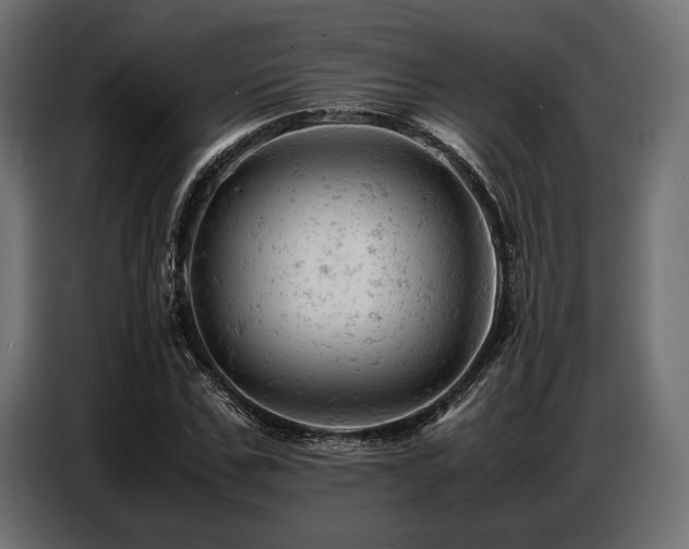 X0000087670971200705041007