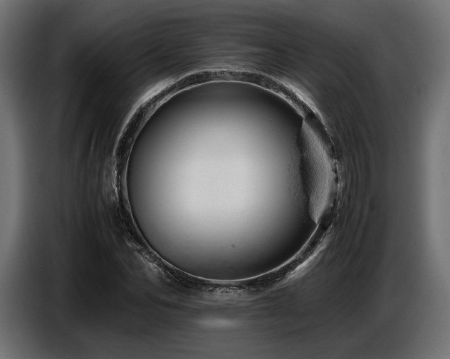 X0000087670974200705041007