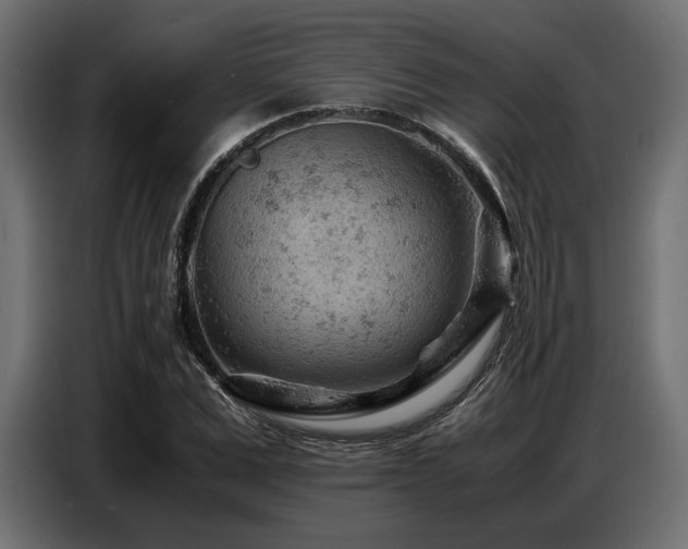 X0000087670975200705041007