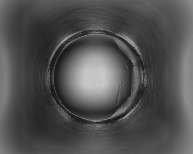 X0000087670976200705041007