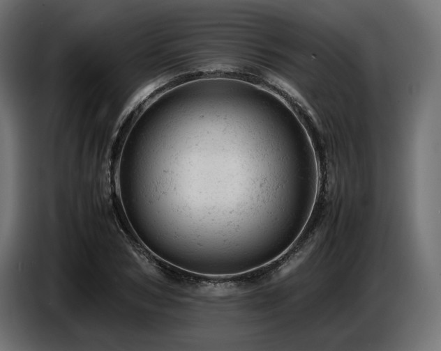 X0000087670978200705041007