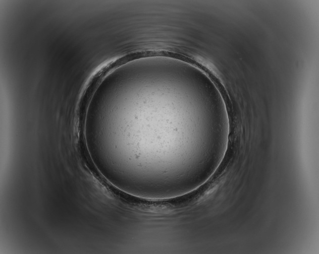 X0000087670979200705041007