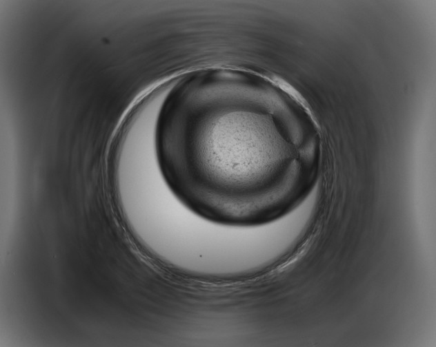 X0000087670981200705041007