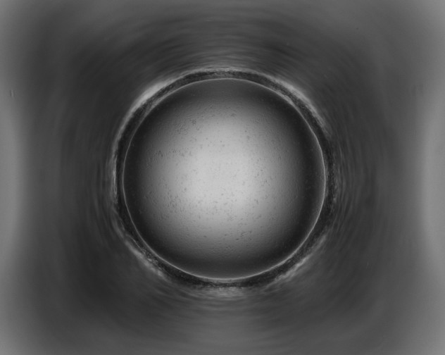 X0000087670982200705041007