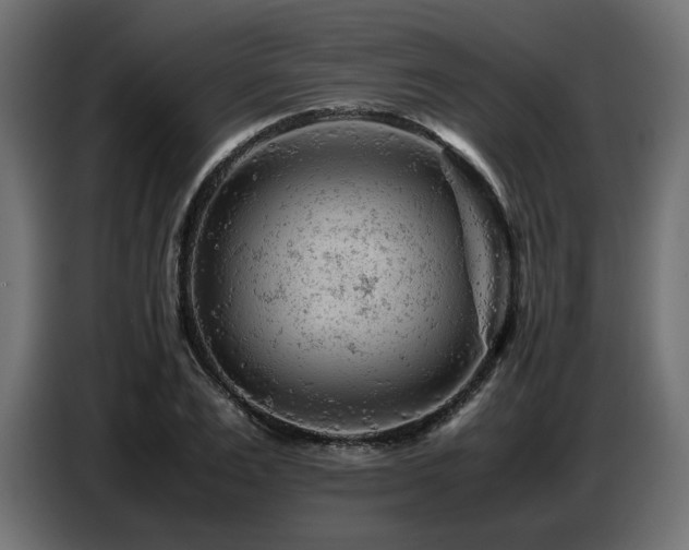 X0000087670983200705041007