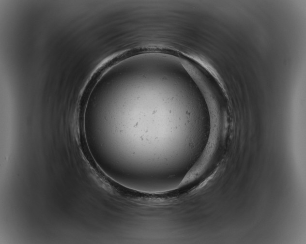 X0000087670984200705041007