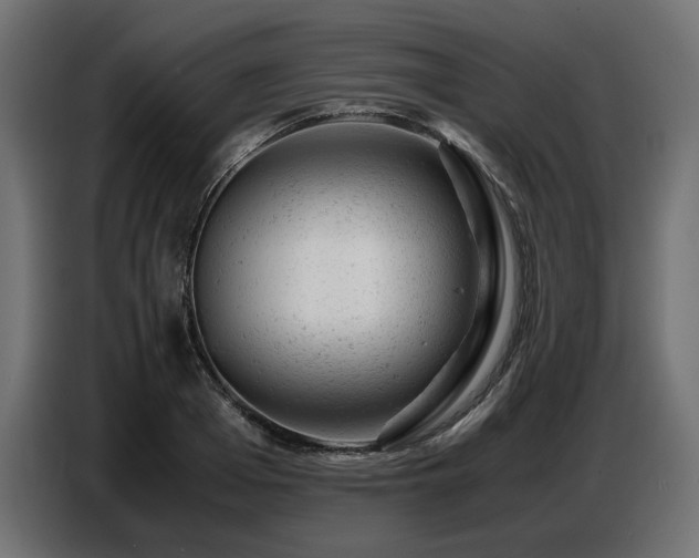 X0000087670985200705041007