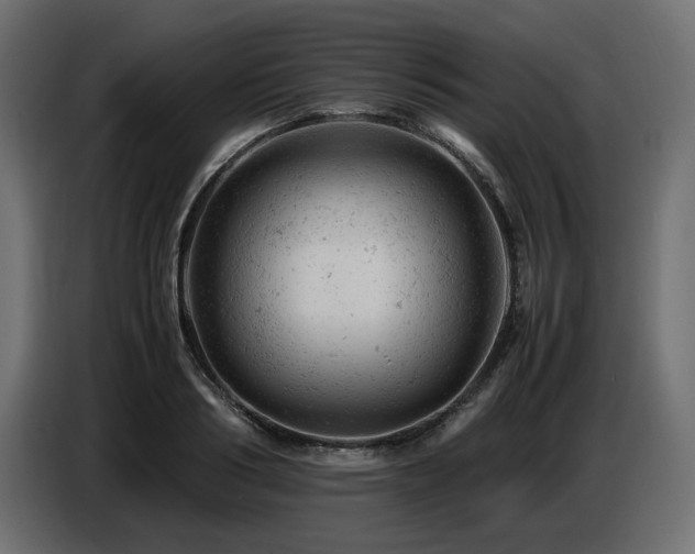 X0000087670986200705041007