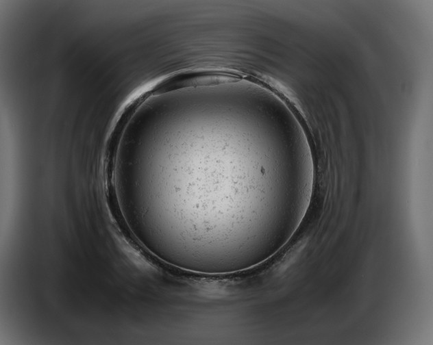 X0000087670987200705041007