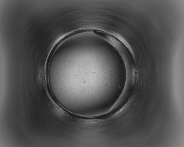 X0000087670988200705041007