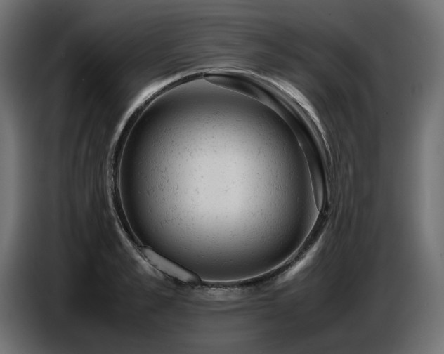 X0000087670989200705041007