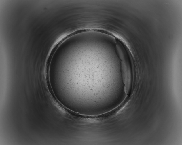 X0000087670990200705041007