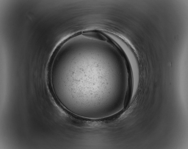 X0000087670991200705041007