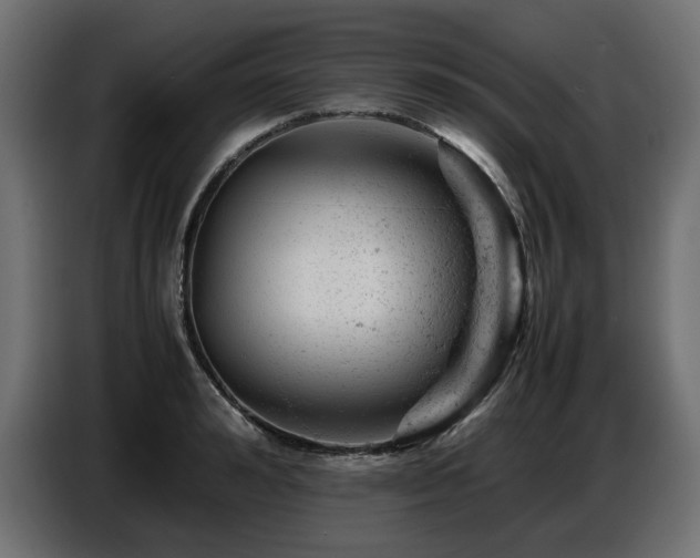 X0000087670992200705041007