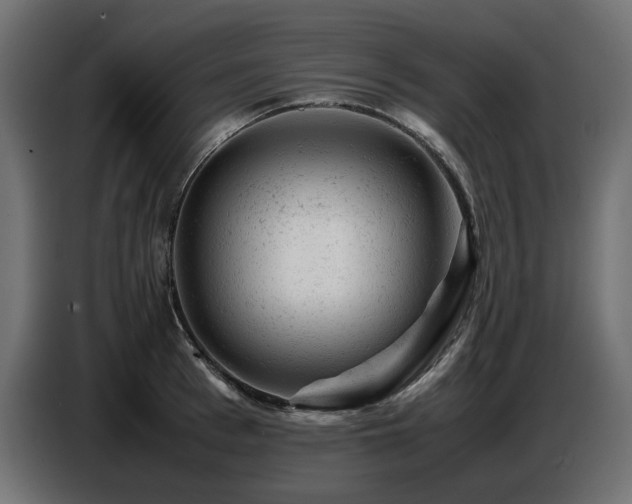 X0000087670993200705041007