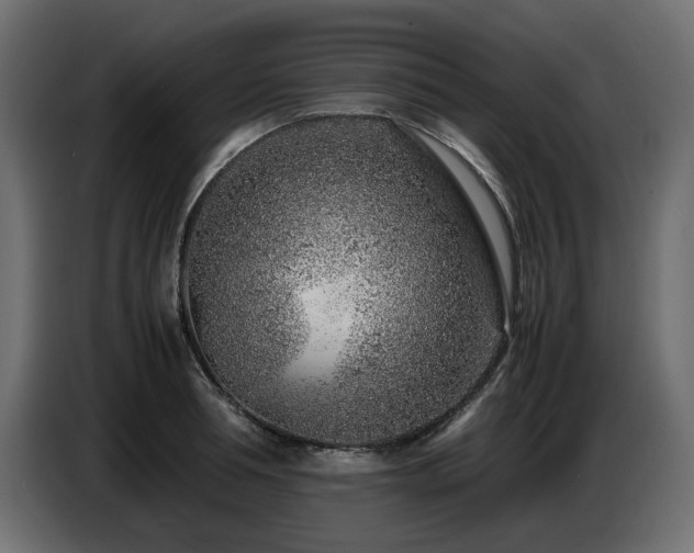 X0000087670994200705041007