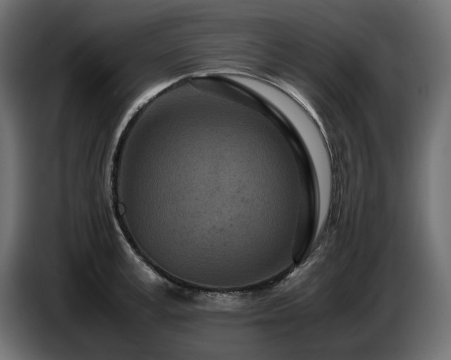 X0000087670995200705041007