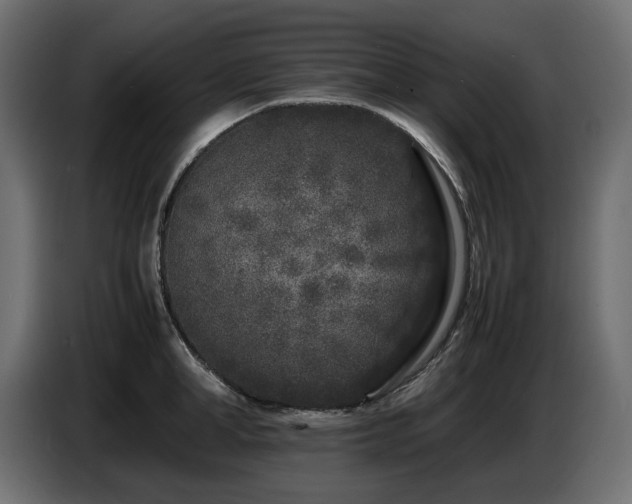 X0000087670998200705041007