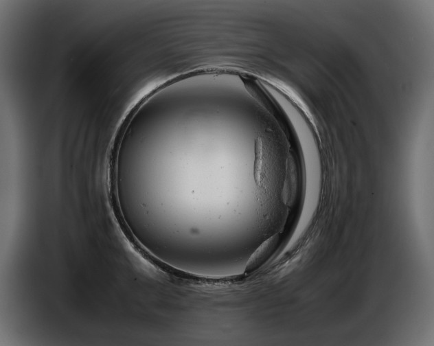 X0000087670999200705041007