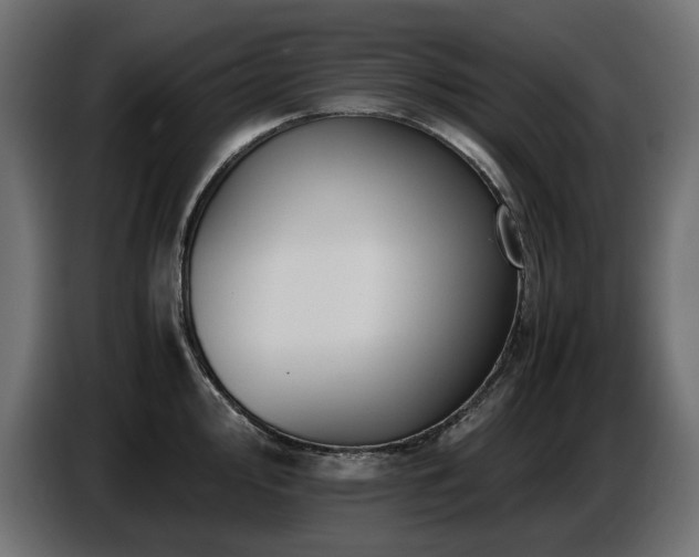 X0000087671000200705041007