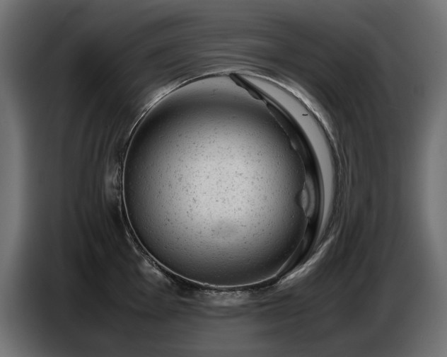 X0000087671001200705041007