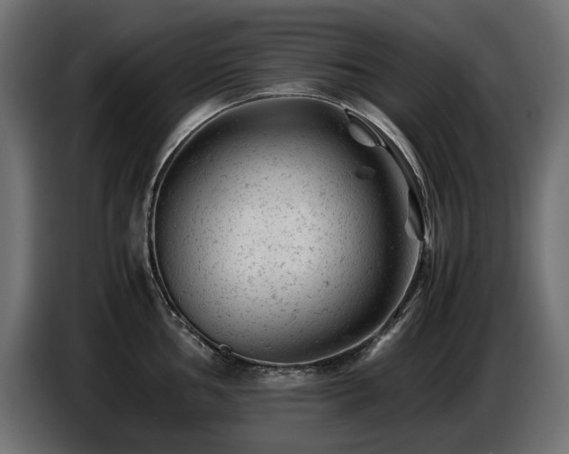 X0000087671002200705041007