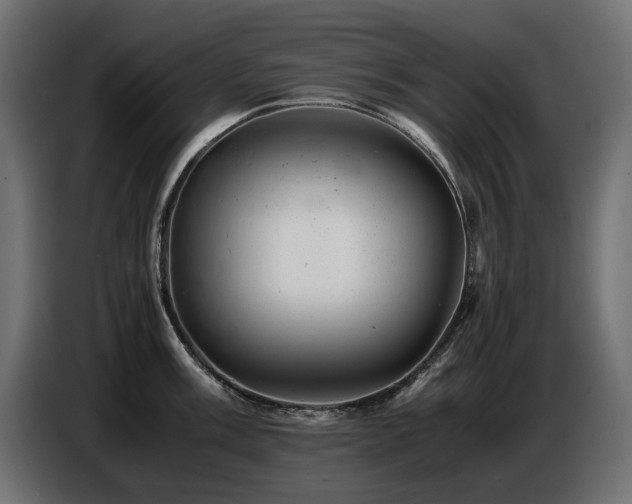 X0000087671003200705041007