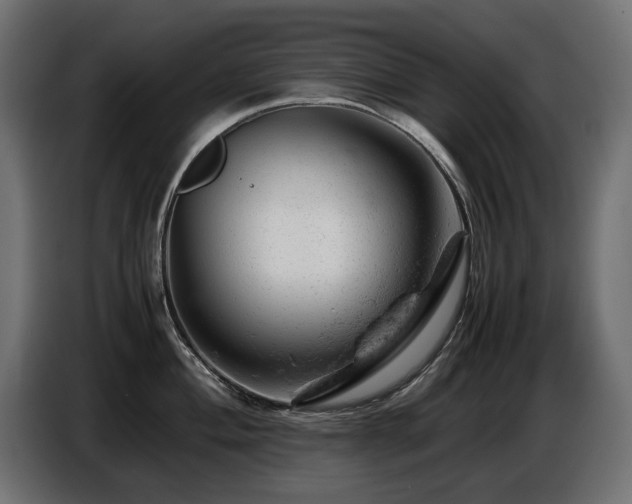 X0000087671004200705041007