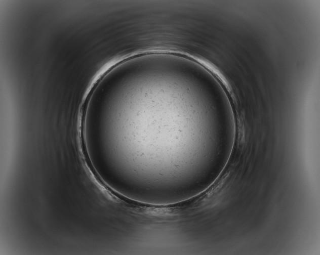 X0000087671006200705041007