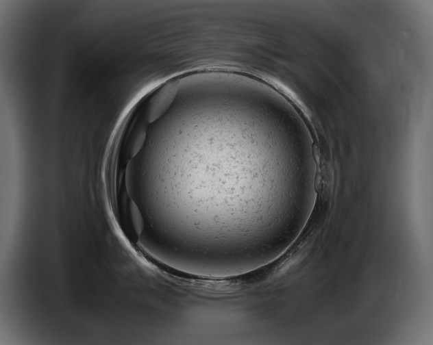 X0000087671007200705041007