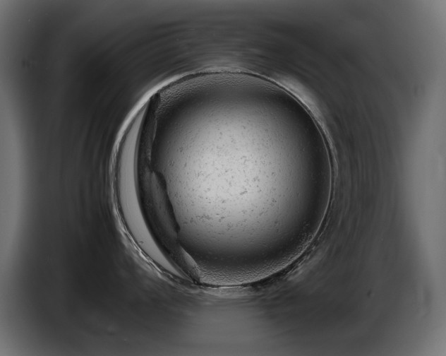 X0000087671008200705041007