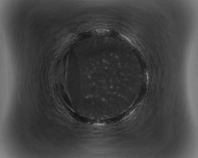 X0000087671009200705041006