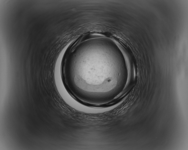 X0000087671010200705041006