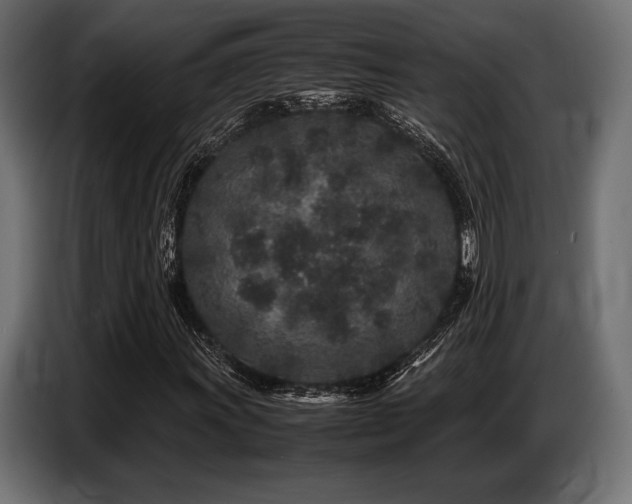 X0000087671011200705041006