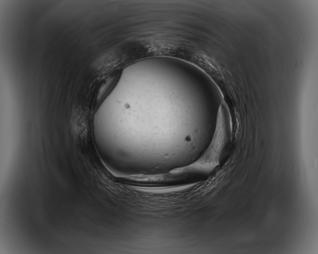 X0000087671012200705041006