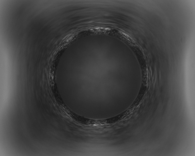 X0000087671013200705041006