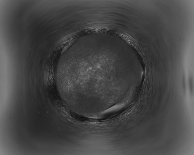 X0000087671014200705041006